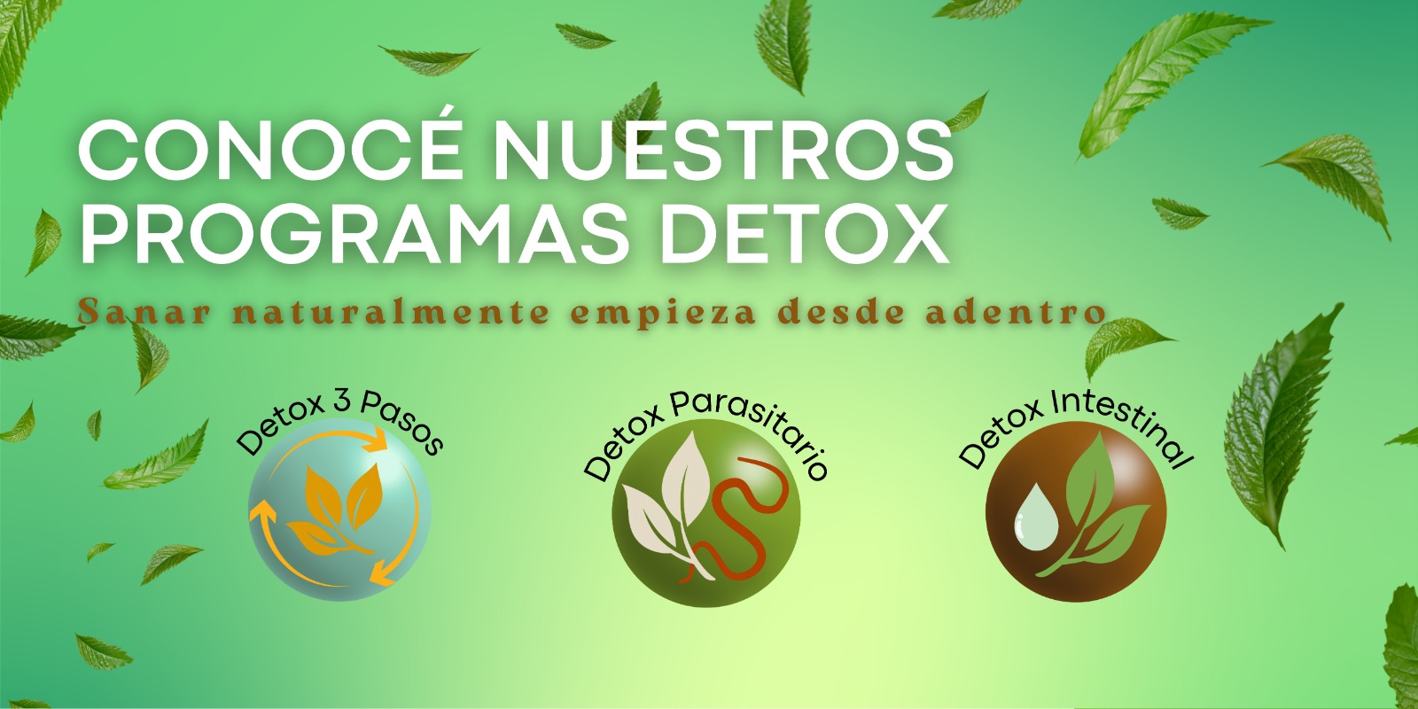 Salud Natural - Imagen 4